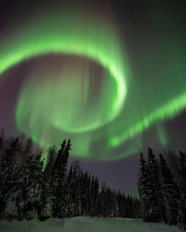 an image of the northern lights in the sky at Borealis Bungalow and Hot Tub in Fairbanks
