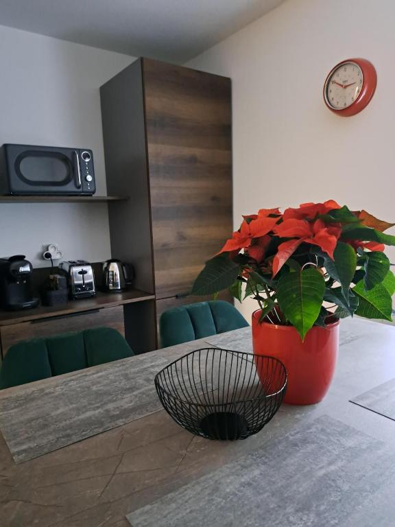 Appartement cosy Colmar centre avec parking – Foto 11