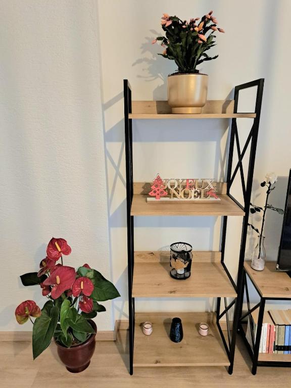 Appartement cosy Colmar centre avec parking – Foto 12