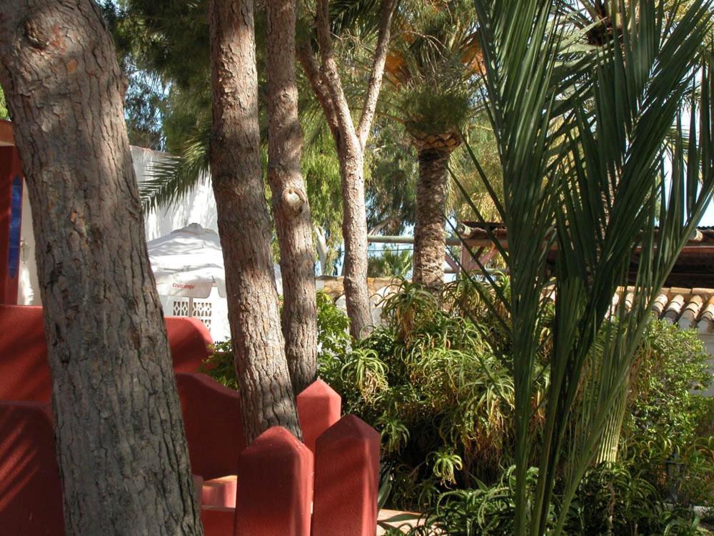 Zahrada ubytování Apartamentos Oasis de las Palmeras