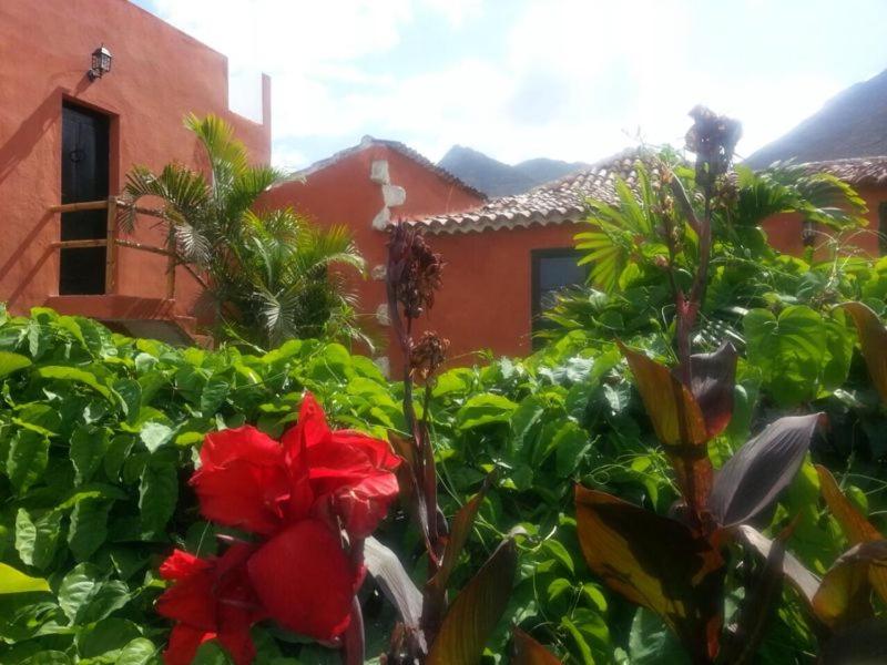 a garden with red flowers in front of a house at Apartmento Tabares in Tejina