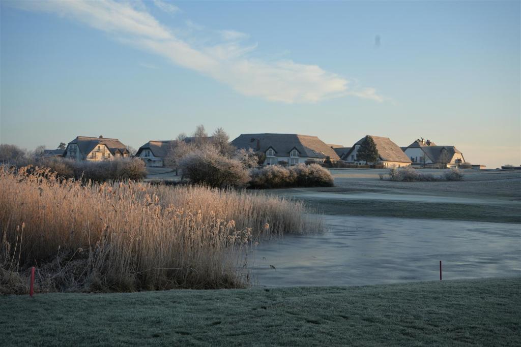 Příroda nedaleko aparthotelu