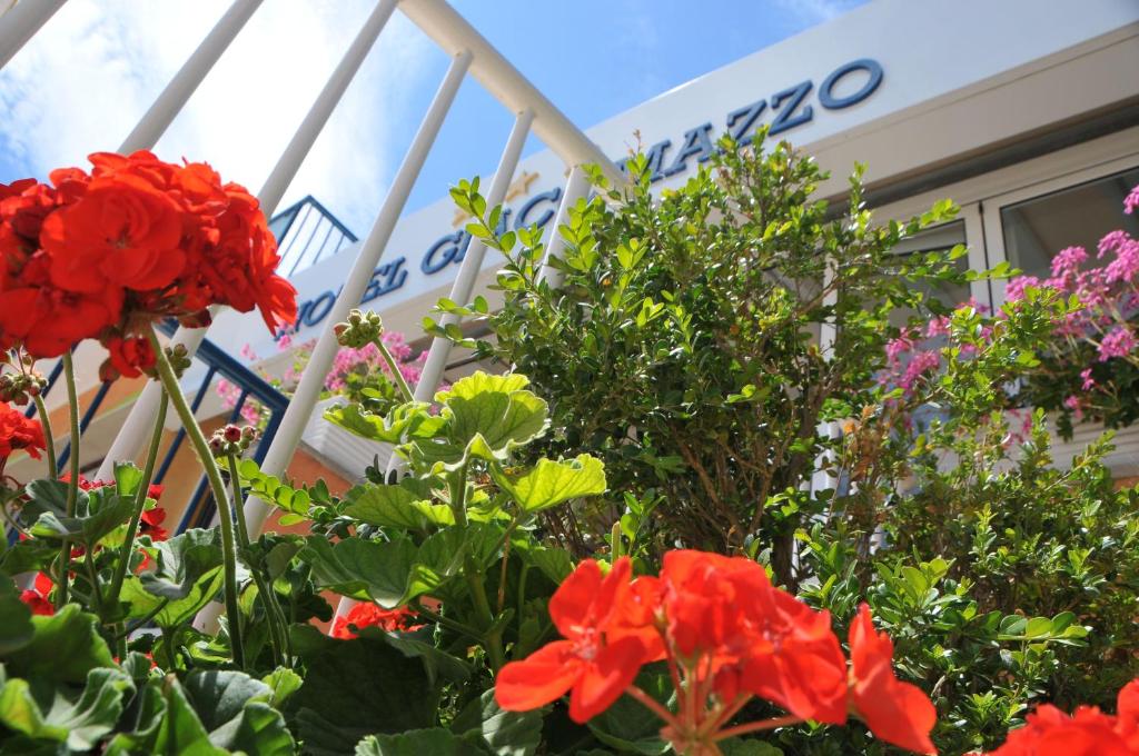 Zahrada ubytování Hotel Giacomazzo