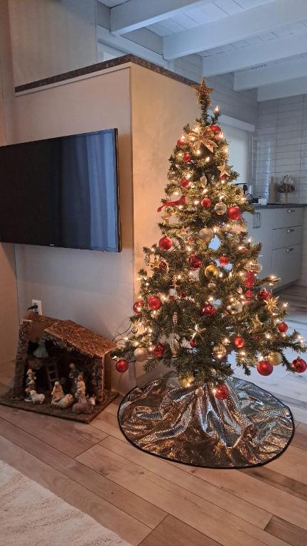 a christmas tree in a living room with a fireplace at Camino in Vrouwenpolder