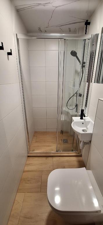 Domek u Gąsieniców 1 - pokoje gościnne - 2