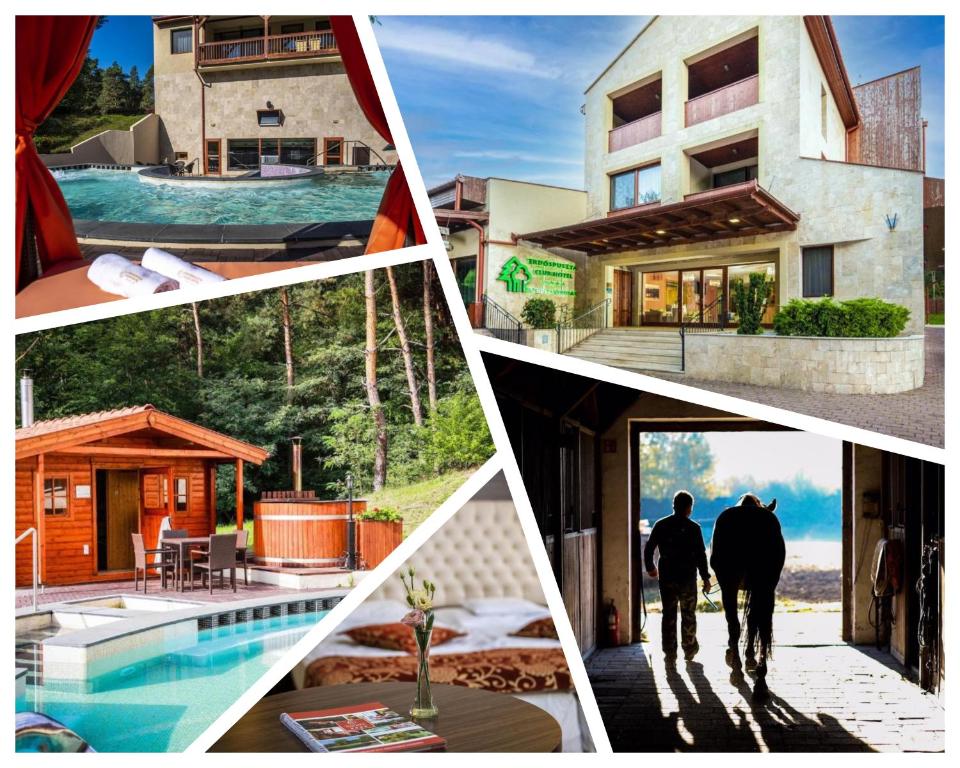 Bazén v ubytování Erdőspuszta Club Hotel Fenyves nebo v jeho okolí