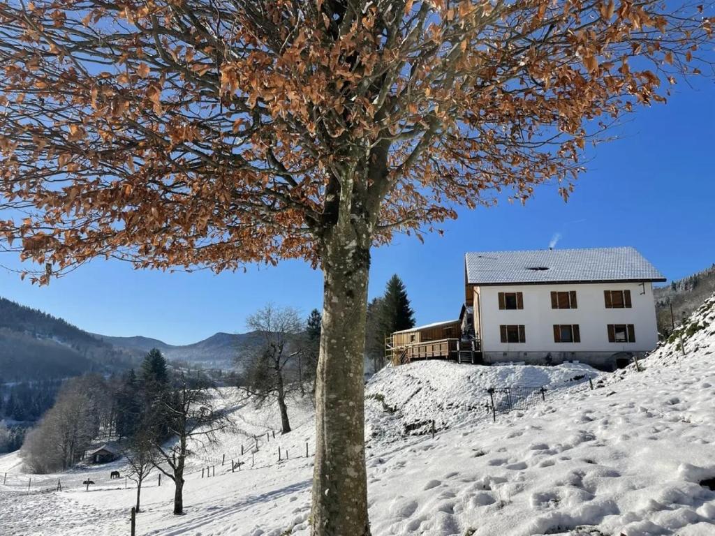 Το La Clé des Champs à Bussang - Gîte tout confort dans les Hautes Vosges τον χειμώνα