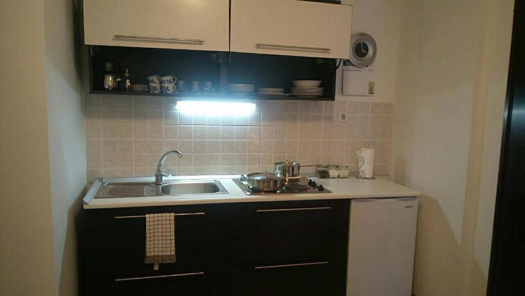 Kuchyň nebo kuchyňský kout v ubytování Apartment Zindan