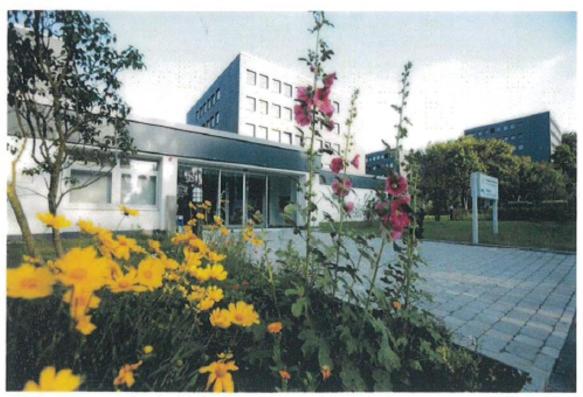 een gebouw met een bos bloemen ervoor bij Laerholz 84 in Bochum