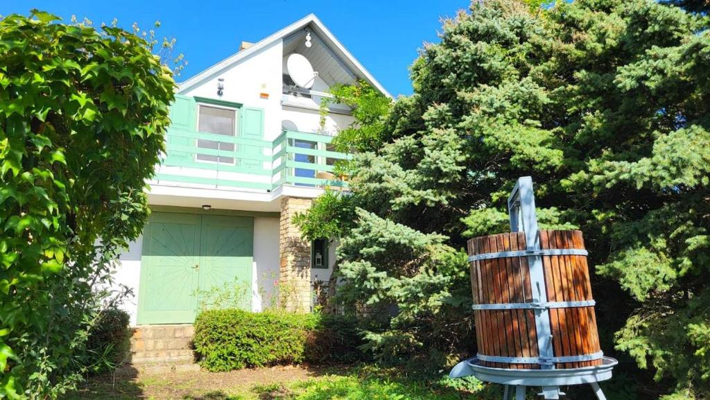 Κήπος έξω από το Sol Invictus Vendégház