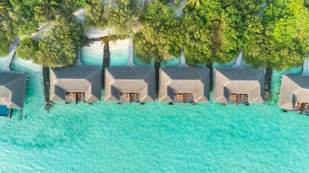 Taj Exotica Resort & Spa, Maldives - Free Airport Transfers photo 2