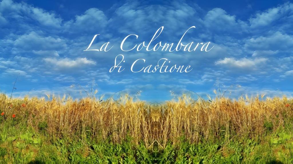 a field of tall grass with the words la colombia at architecture at La Colombara in Ponte dellʼOlio