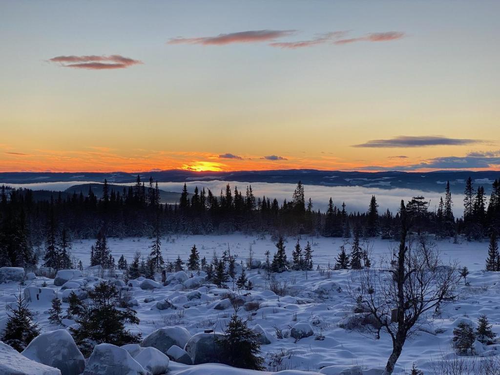 Naturlandskabet i nærheden af feriehuset