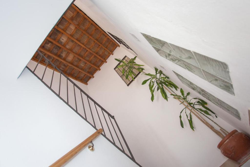 Multi Apartamentos La Kasbah - 5