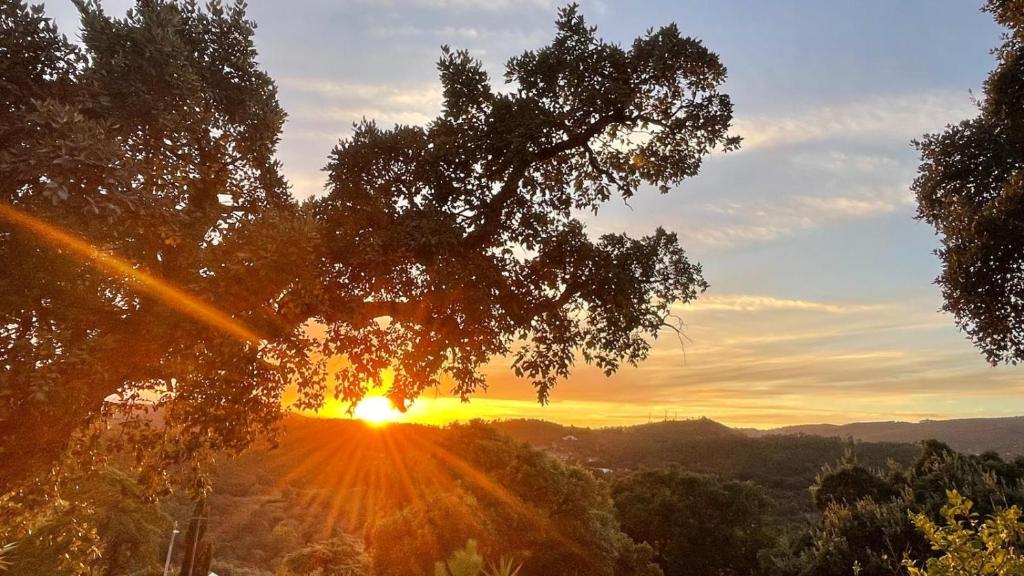 Příroda nedaleko vily