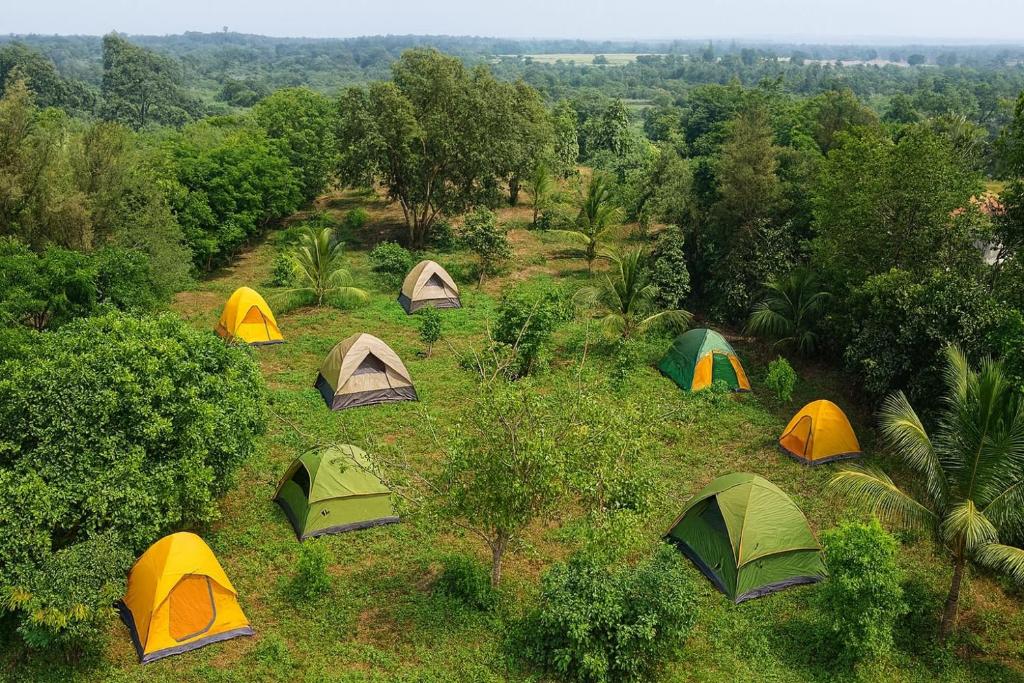 Природа в окрестностях кемпинга