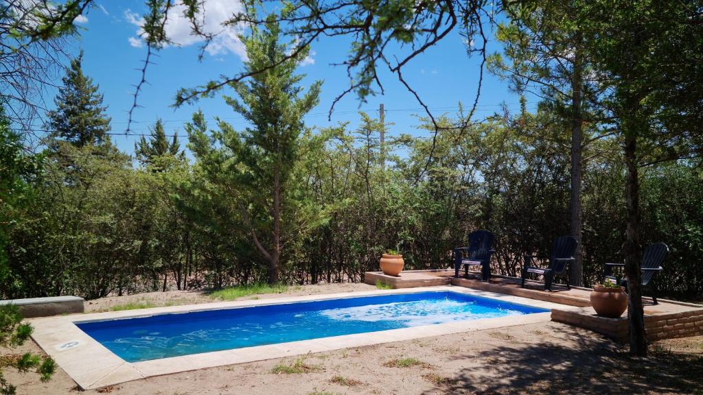 a swimming pool in a yard with trees at Complejo Ayllu in Las Rabonas