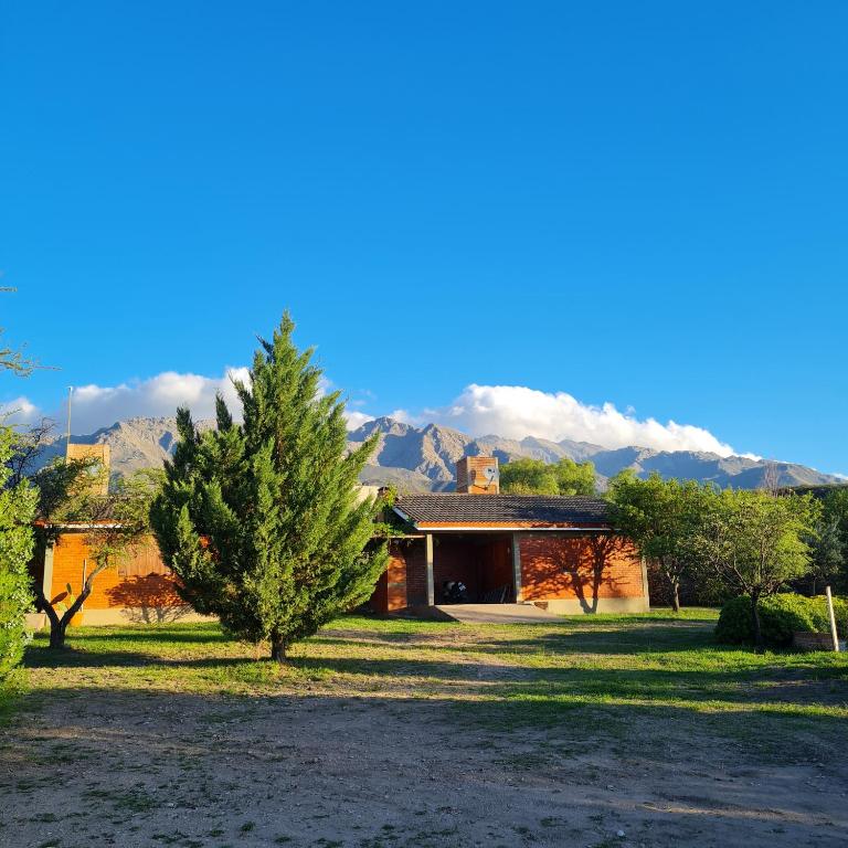 a house with a tree and mountains in the background at Complejo Ayllu in Las Rabonas