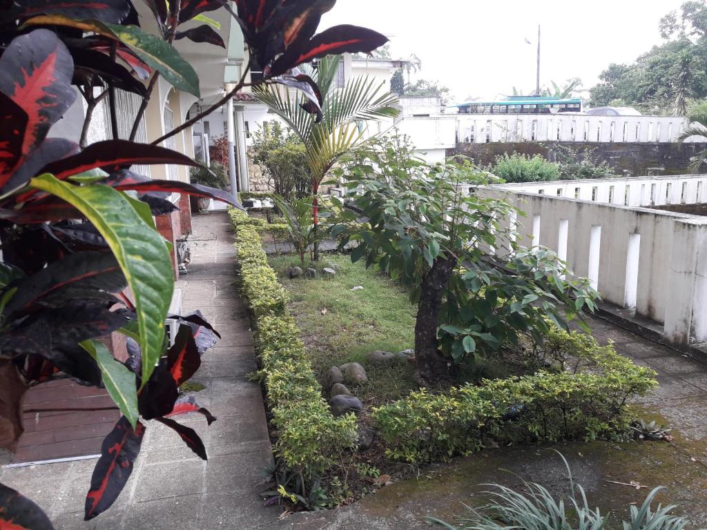 un jardín con árboles y plantas junto a un edificio en Hotel Ecologico Riverside en Quevedo