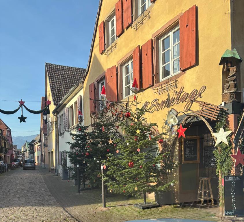 Le petit nid de Turckheim avec parking privé – photo 21