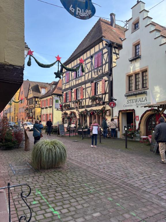 Le petit nid de Turckheim avec parking privé – photo 18