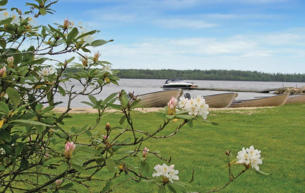 Příroda nedaleko prázdninového domu