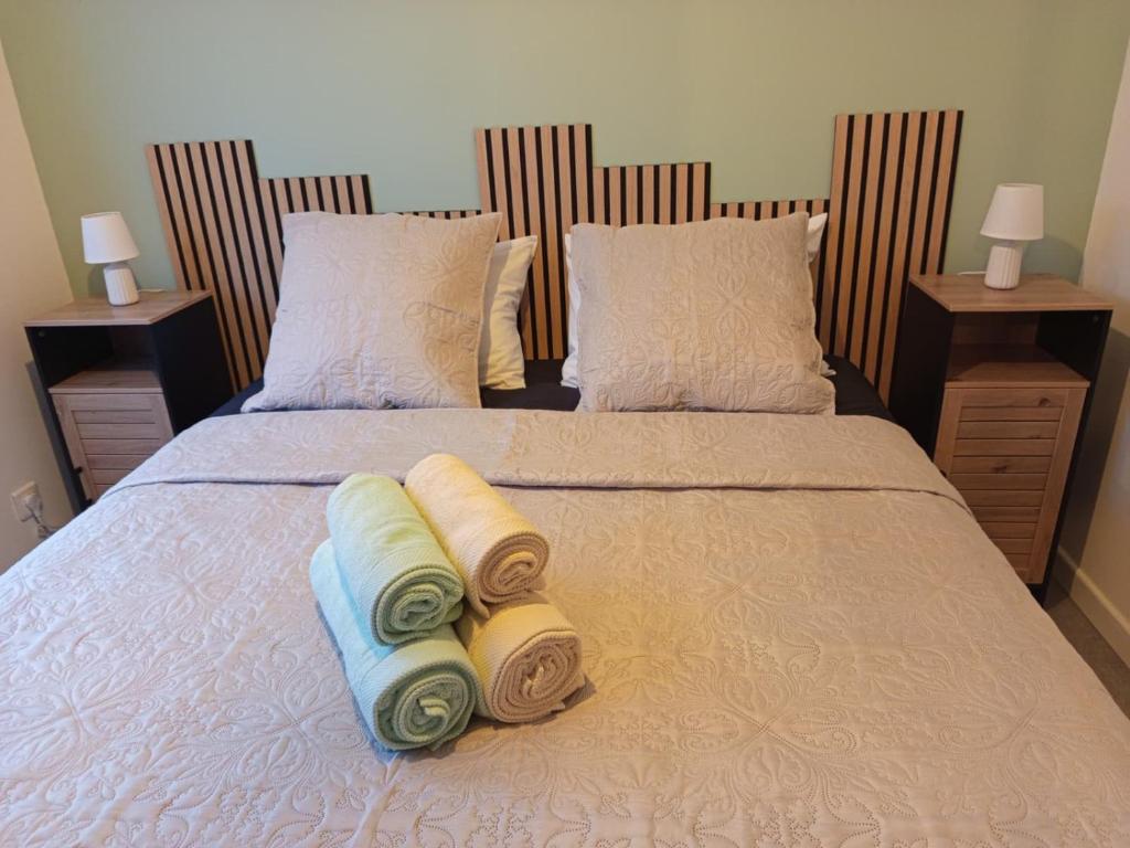 Postel nebo postele na pokoji v ubytování Appartement équipé vue phare, 2 min plage & ferry