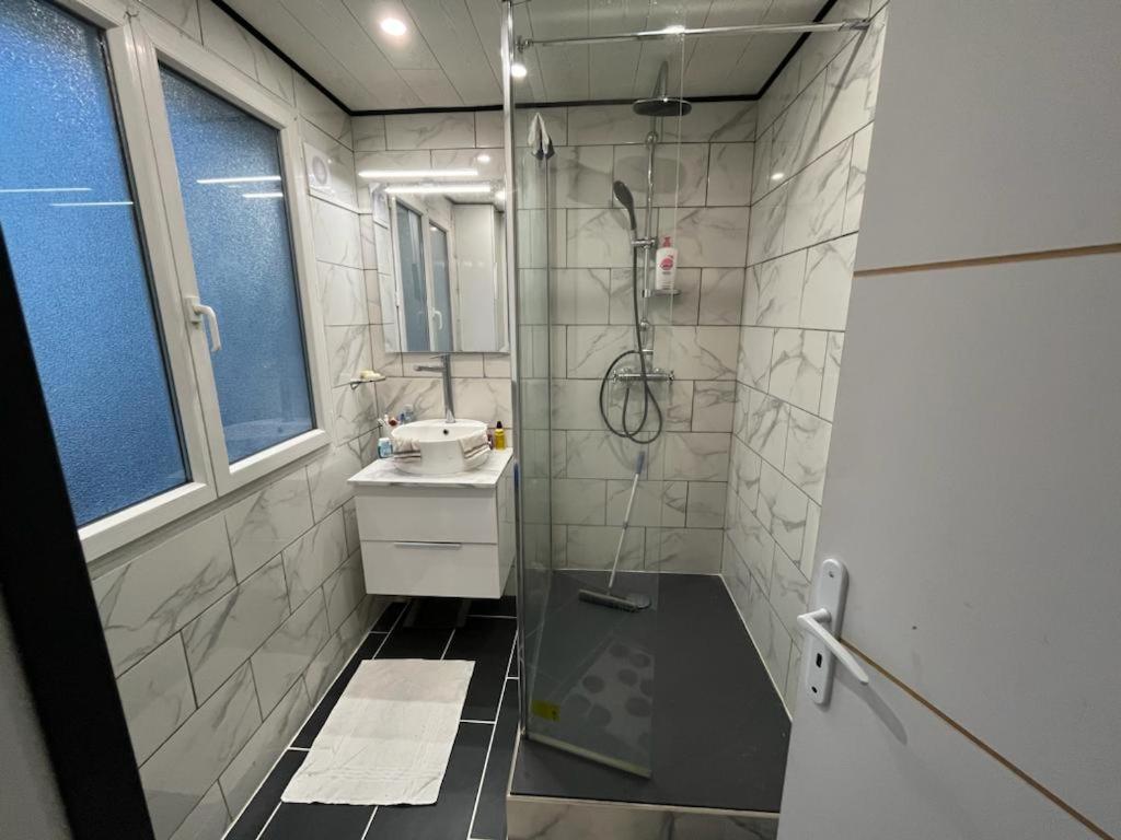 Neuw room Calaisis في كاليه: حمام مزود بدش ومغسلة