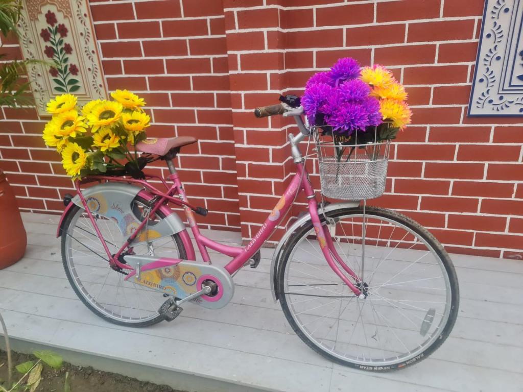 Cykling ved Vedic Village aquavilla raivilla eller i nærheden