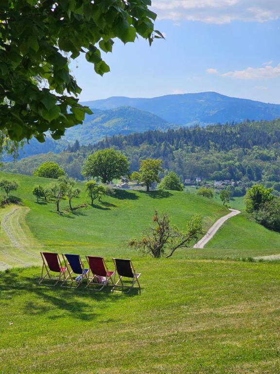 Domaine Le H – photo 9