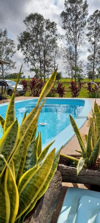 a view of a swimming pool with some plants at Rancho Cata Vento in Santa Clara dʼOeste