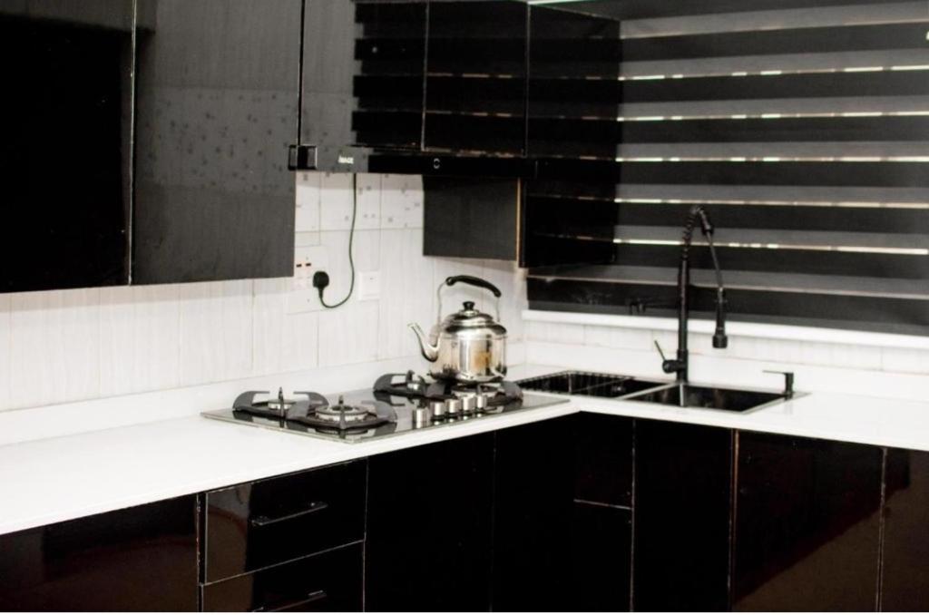 Kuchyň nebo kuchyňský kout v ubytování Epic apartment - lugbe