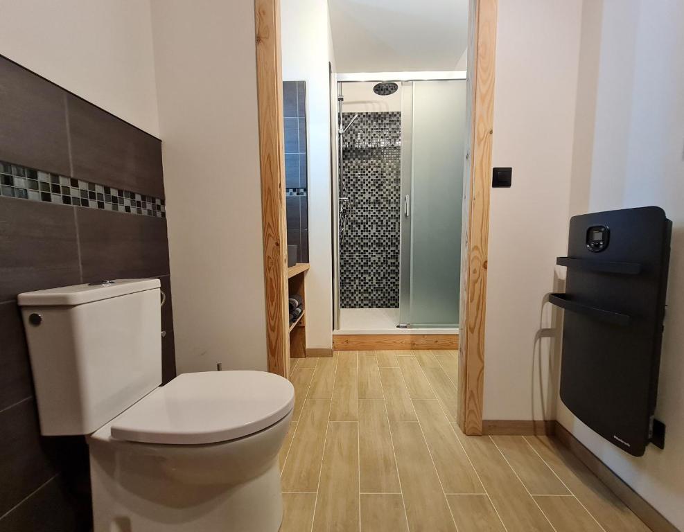 BoismontにあるChambre 1, La Perpontaiseのバスルーム(トイレ、ウォークインシャワー付)