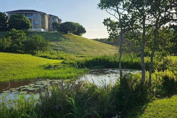 een kleine vijver in een veld met een huis op een heuvel bij The Flip Flop Stop in Ballito