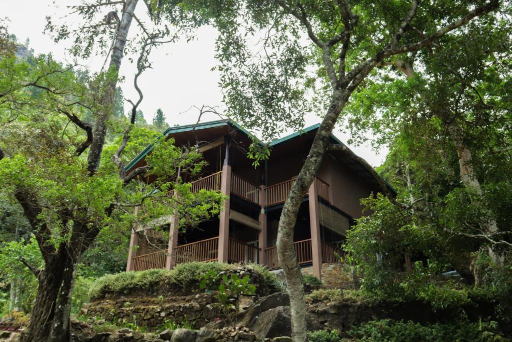 Здание лоджа