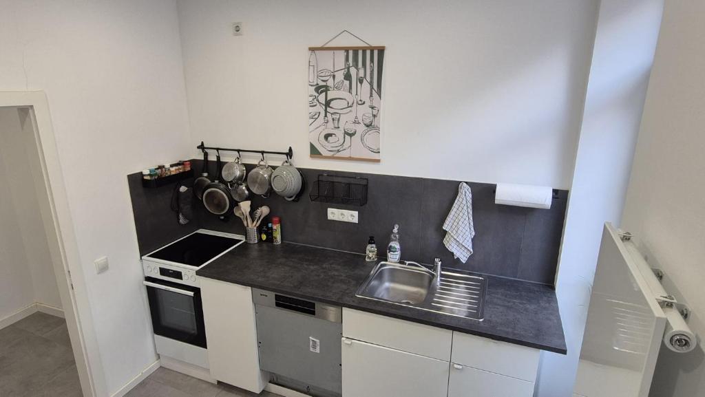 una piccola cucina con lavello e fornello di Central City Apartment Mozart a Kaiserslautern
