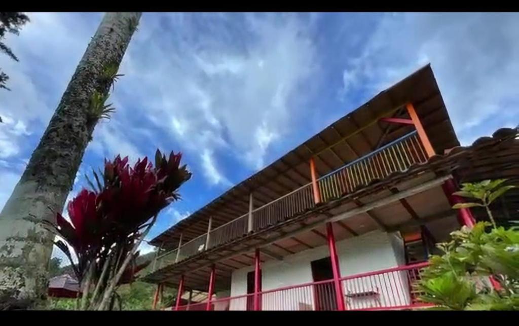 Το κτήριο όπου στεγάζεται  το καταφύγιο