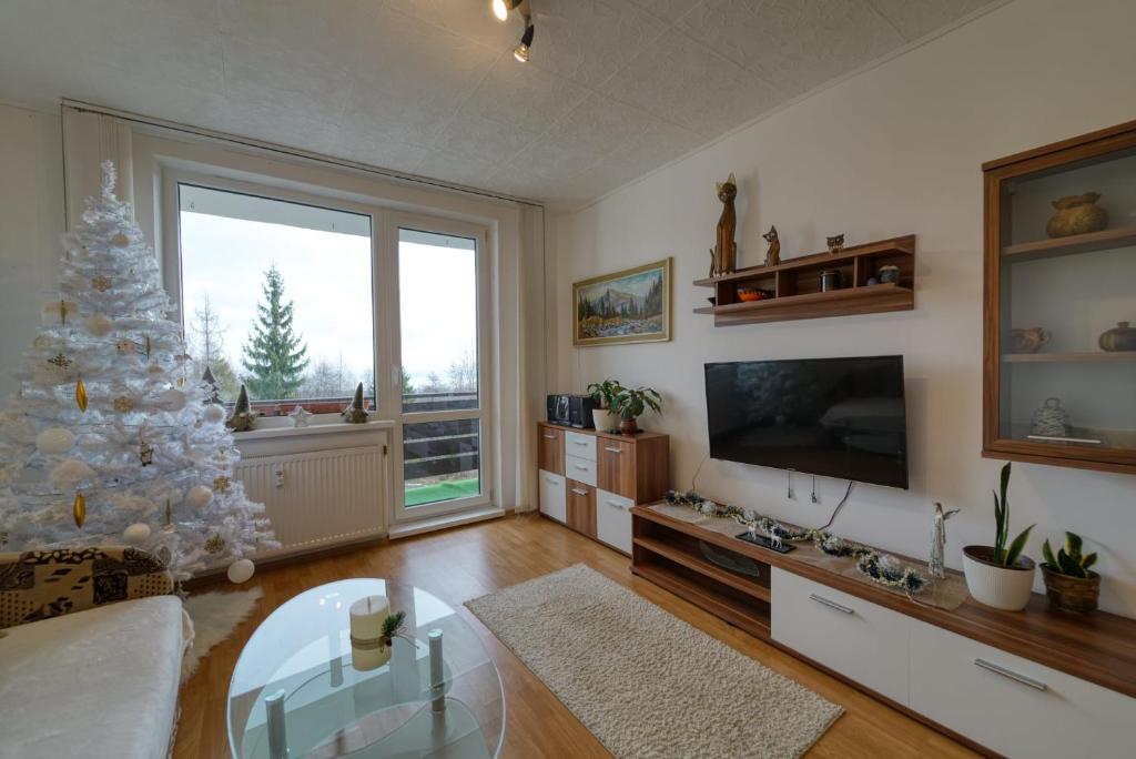 uma sala de estar com uma árvore de natal e uma televisão em Apartmán Horný Smokovec em Vysoké Tatry