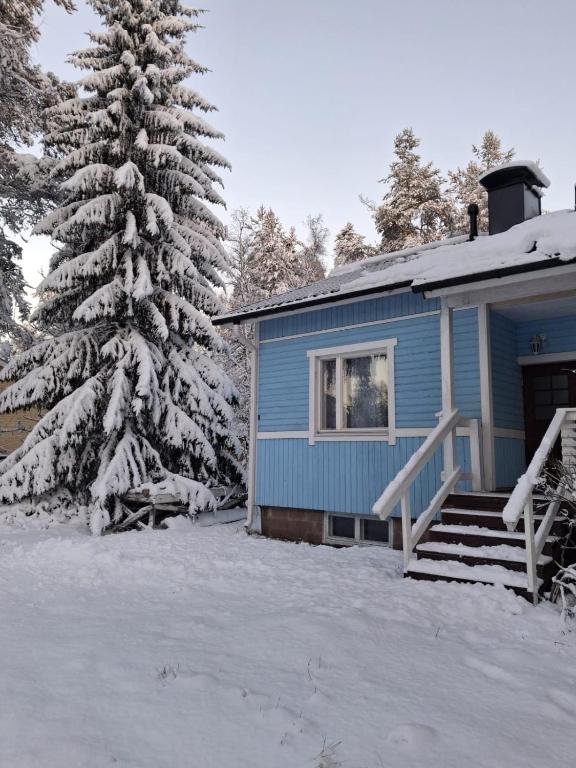 Traditional Finnish Lapland house at wild forest backyard! في كيمي: منزل أزرق بجانبه شجرة مغطاة بالثلوج