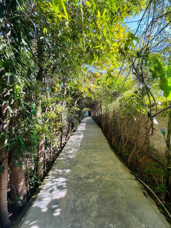 a path lined with trees on the side of a road at Sukha's Sepna Village in Ajmer