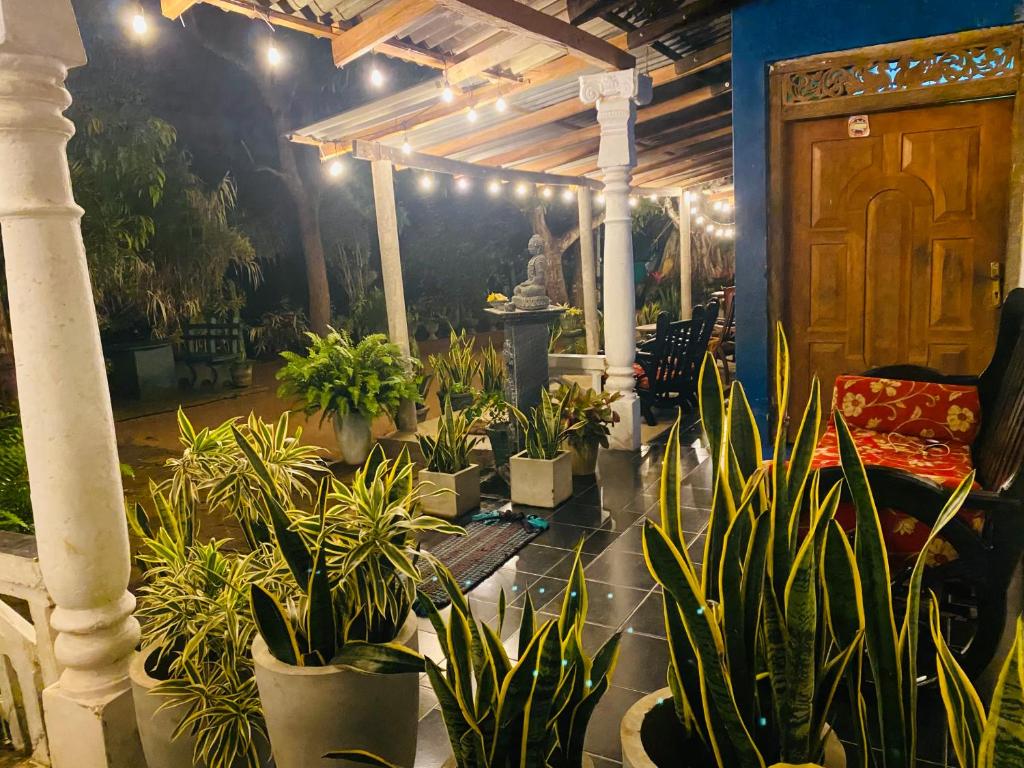 Zahrada ubytování Night Owl Hostel Sigiriya