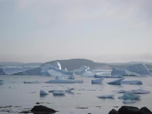 a group of icebergs in a body of water at Wildnorth Hotel in St. Anthony