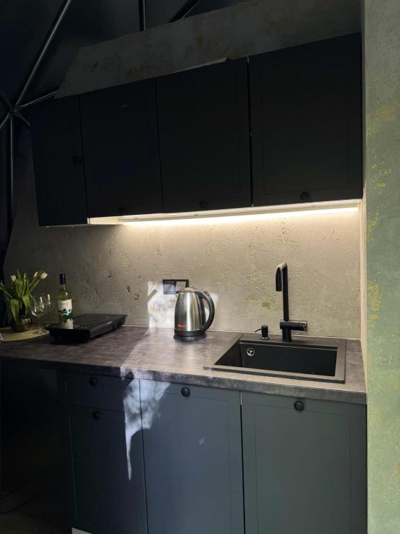 eine Küche mit Spüle und Arbeitsplatte in der Unterkunft Tyla dviese in Kaciūniškiai