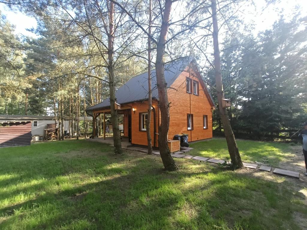 Domek nad jeziorem Wilczyńskim في Świętne: منزل وسط ساحة فيها اشجار