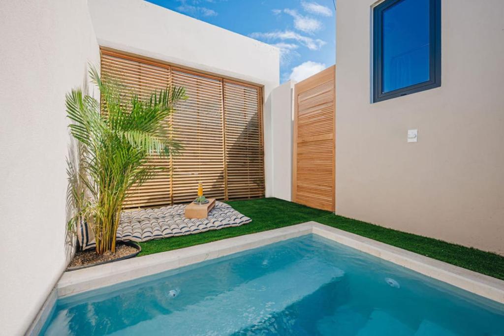 Hồ bơi trong/gần Luxury Plunge Pool - 6 min Walk to Palm Beach