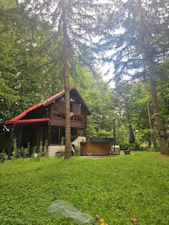 a log cabin in the middle of a field with a yard at Misha's House in Porumbacu de Sus