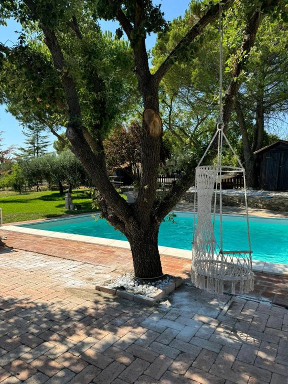 a swing hanging from a tree next to a pool at Locazione turistica ex Le Casette Di Cedromonte in Panicale