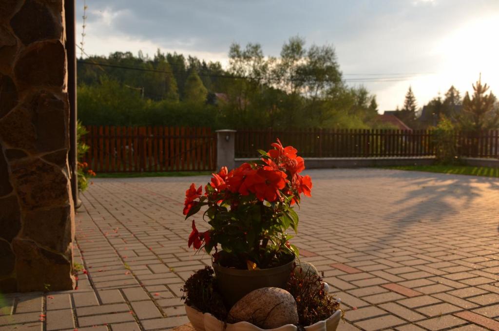 Zahrada ubytování Apartments Huty