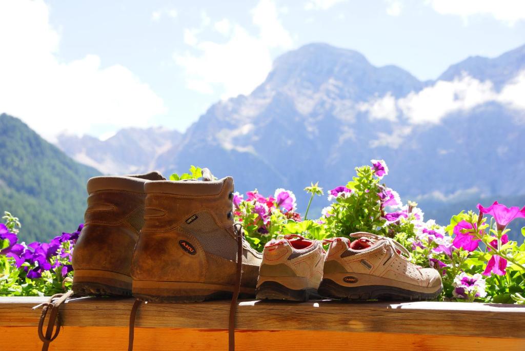 un par de botas sentadas en una cornisa con flores en Agriturismo Ciablun, en La Valle