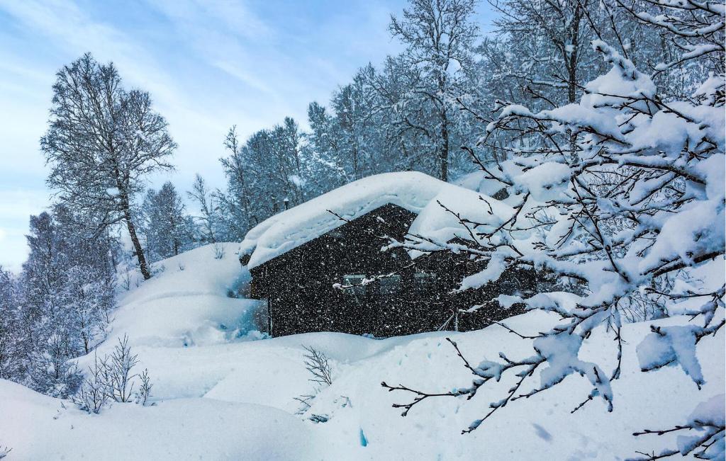 a house covered in snow with trees in the background at Awesome Home In Tjørhom in Haugen